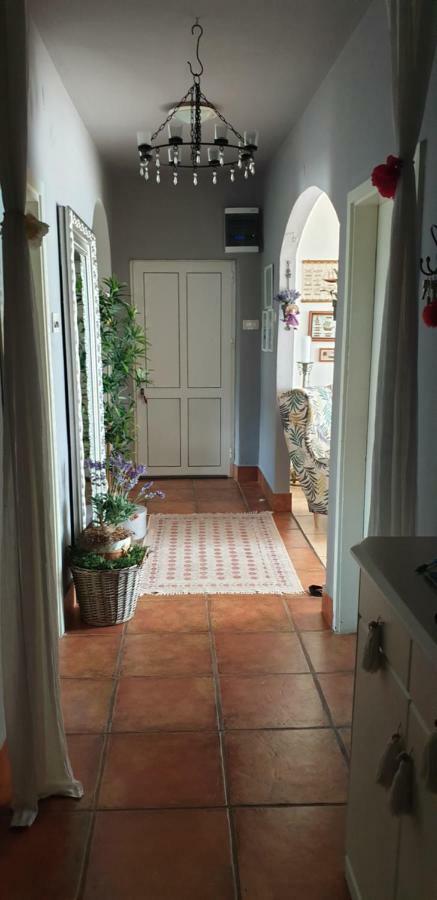 Apartman Felice スタリグラード エクステリア 写真
